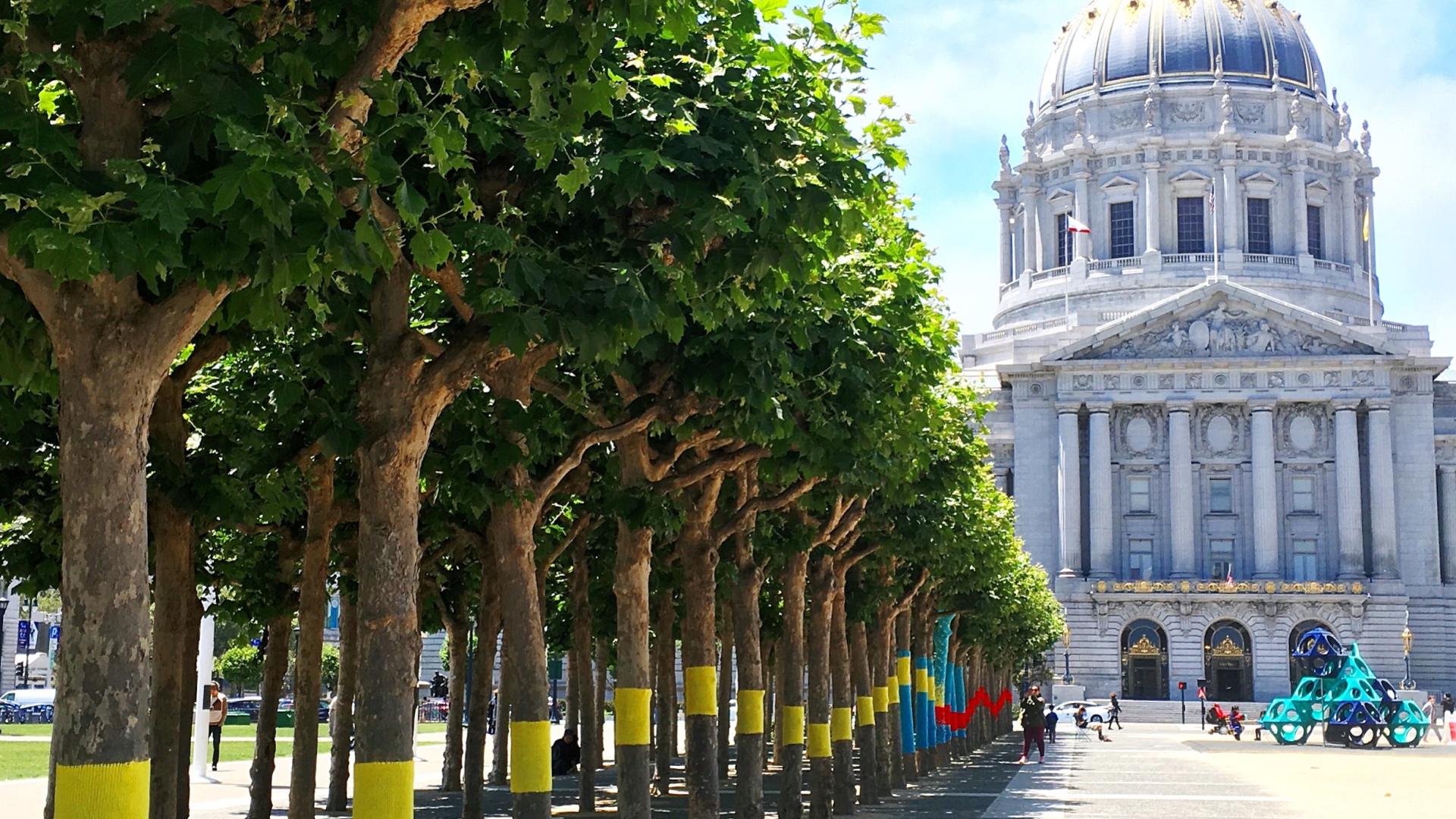 photo of city hall with trees lining walkway