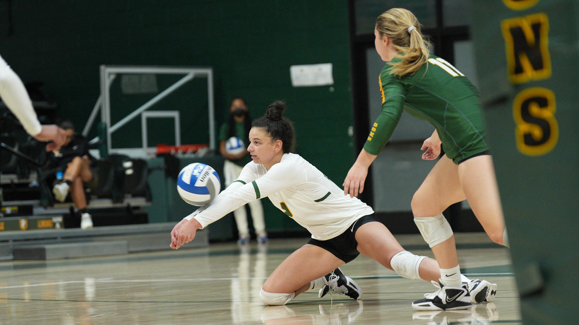 usf volleyball student dives to return ball