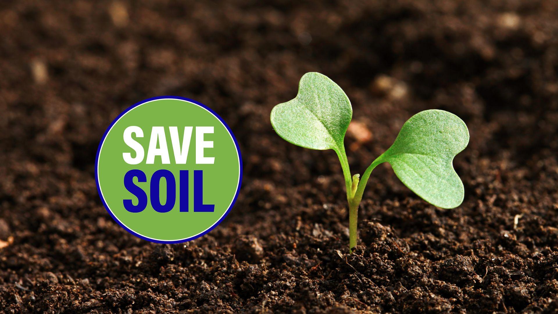Save soil logo and small plant in dirt
