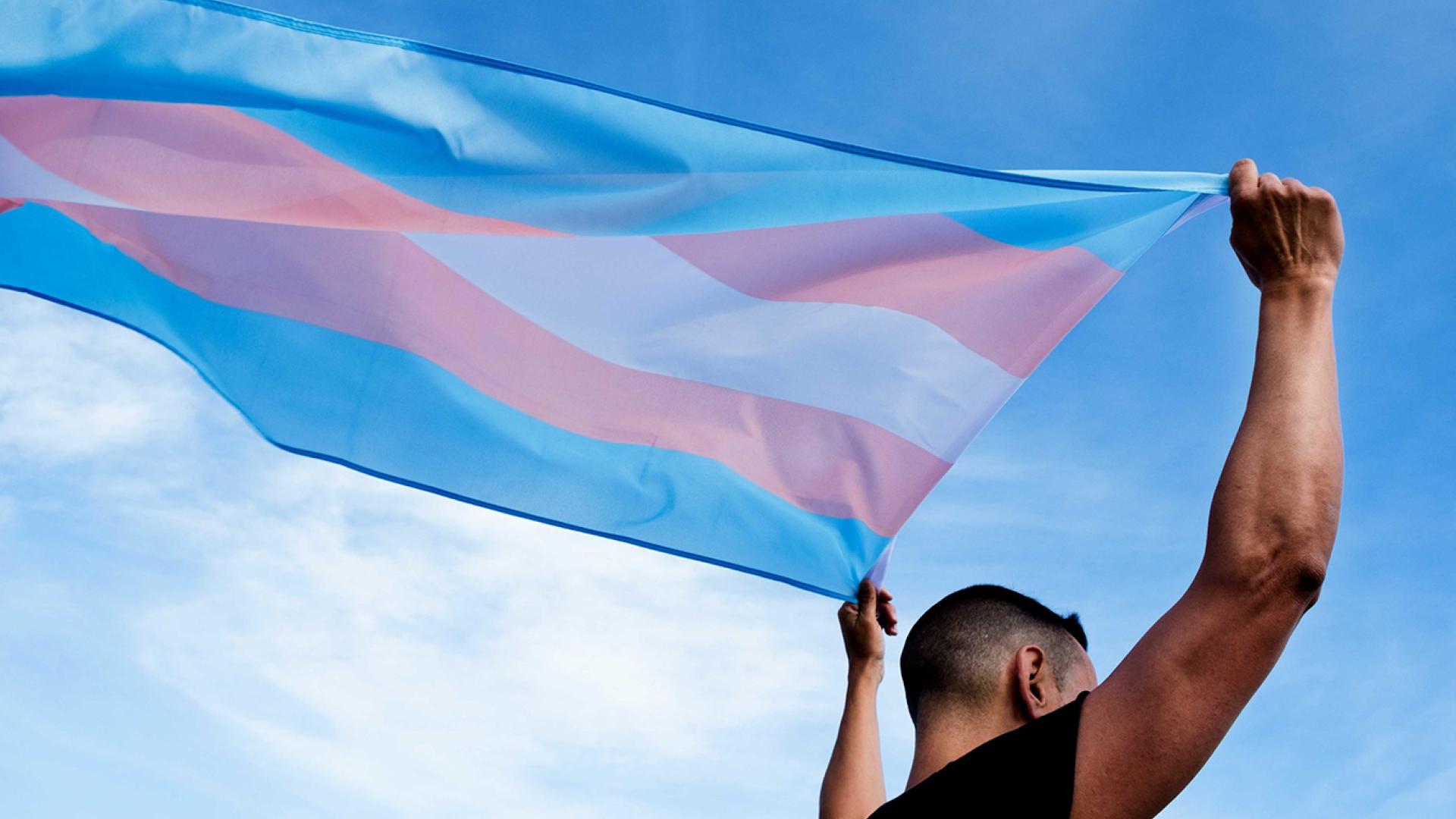 A person holding the trans pride flag