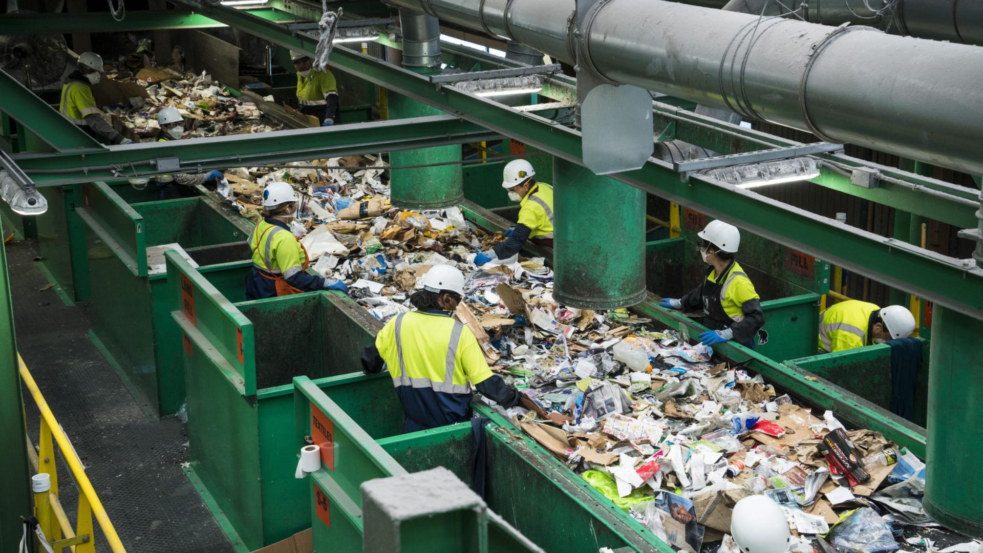 Sort line at Recycle Central on Pier 96