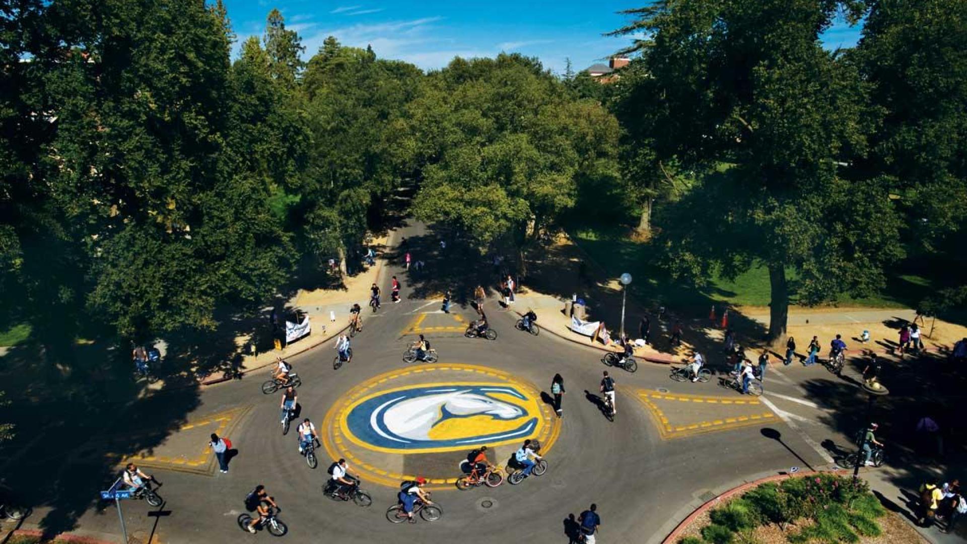 Bike roundabout