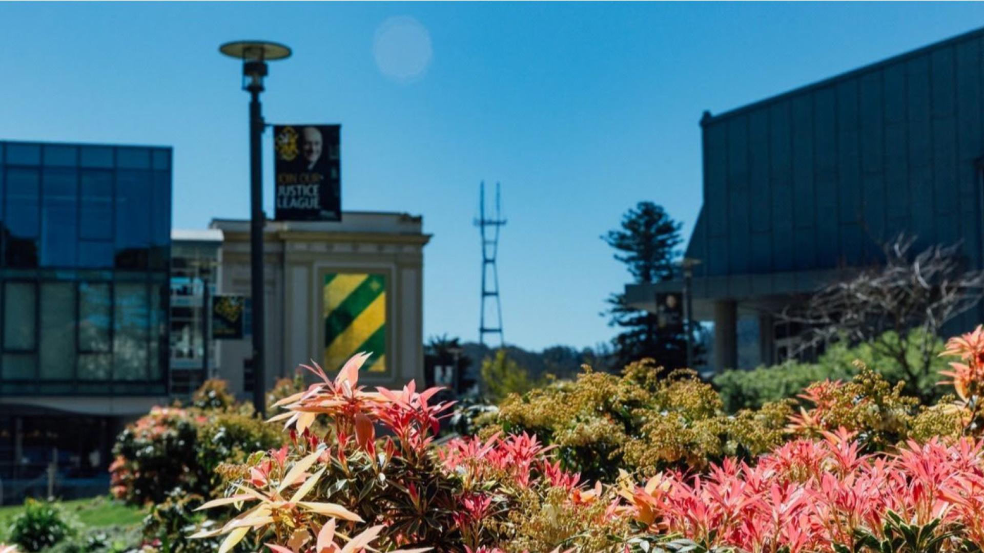 View of campus with pink flowers in focus