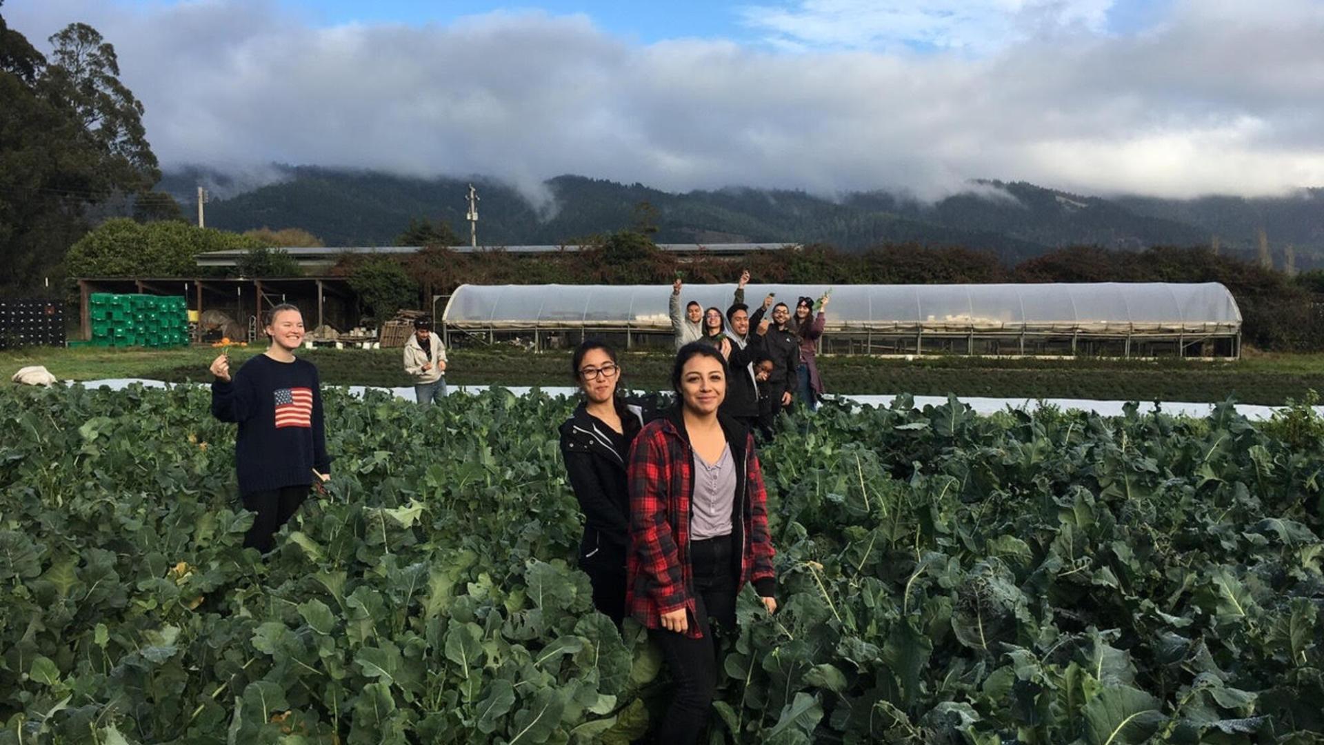 Students learn about vegetable farming at Star Route Farms.