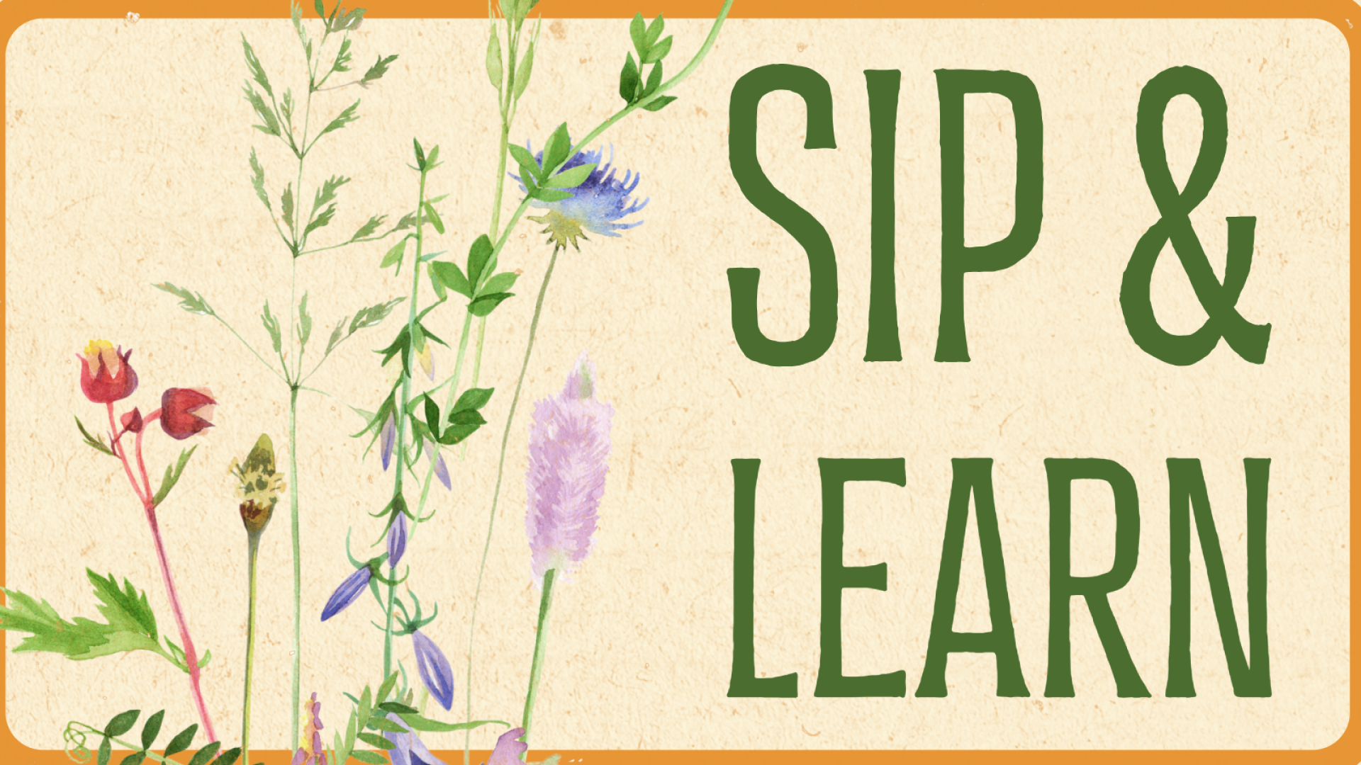 "Sip &amp; Learn" in green text next to flowers on a cream background