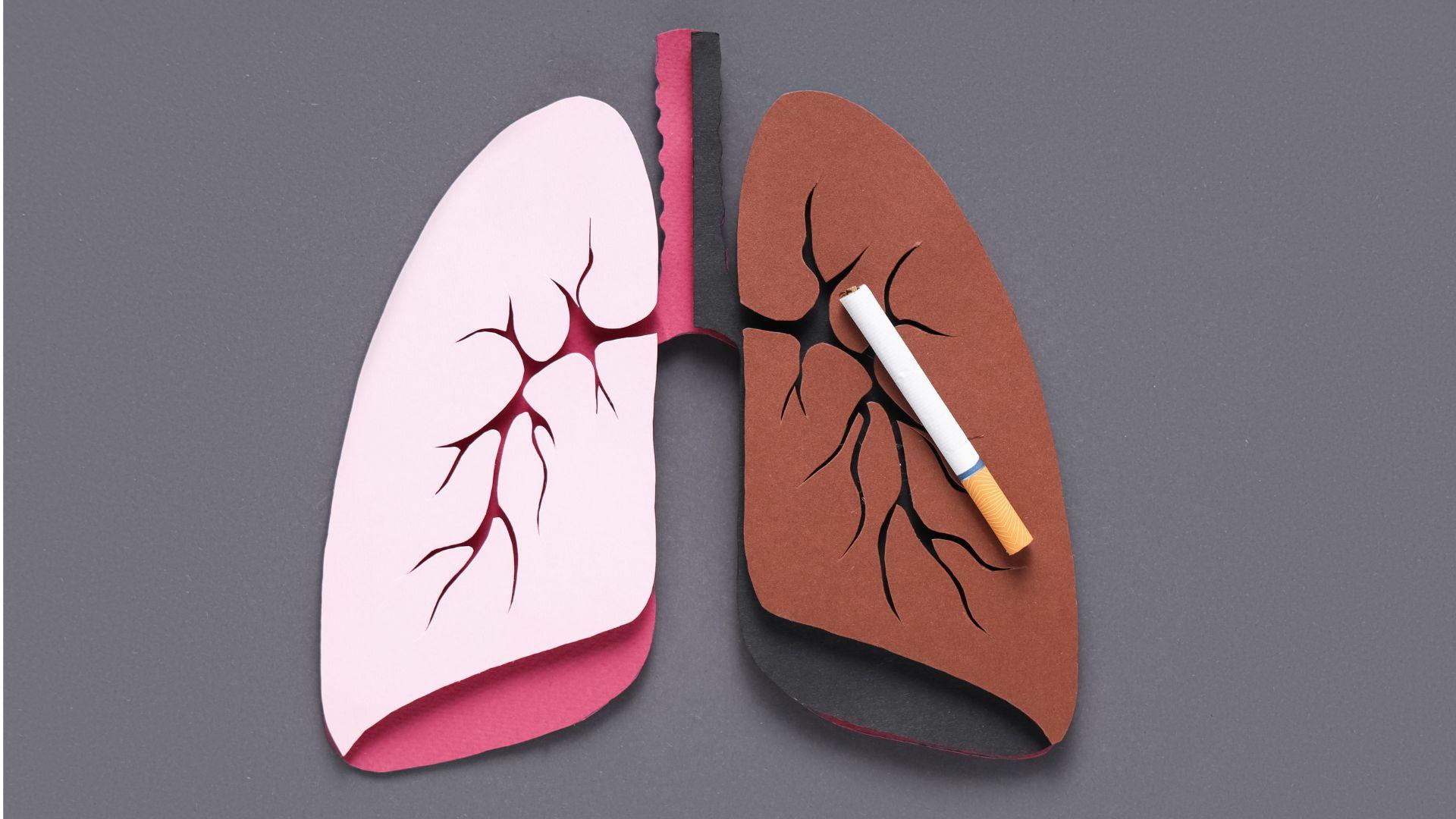 paper lungs from pixelshot on Canva Pro