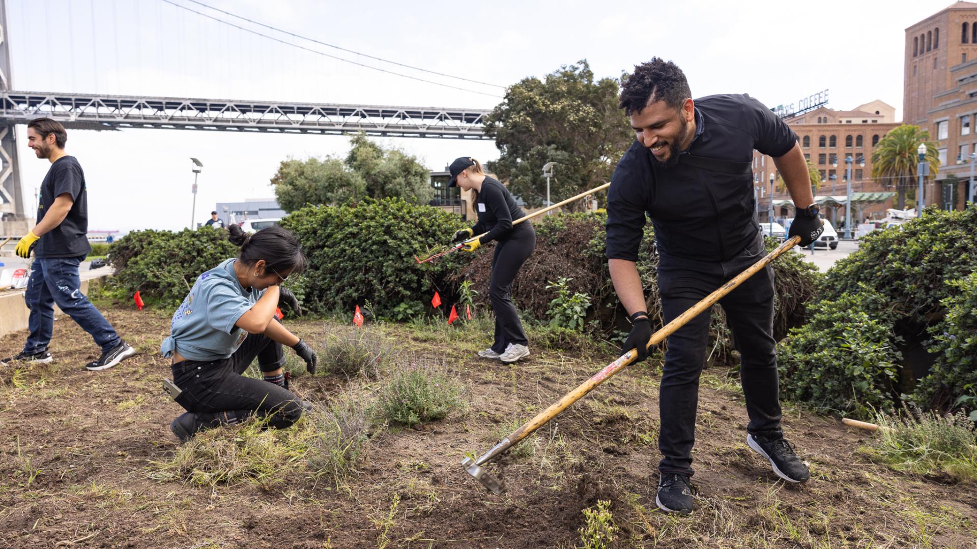 Person raking the ground in SF for a service day