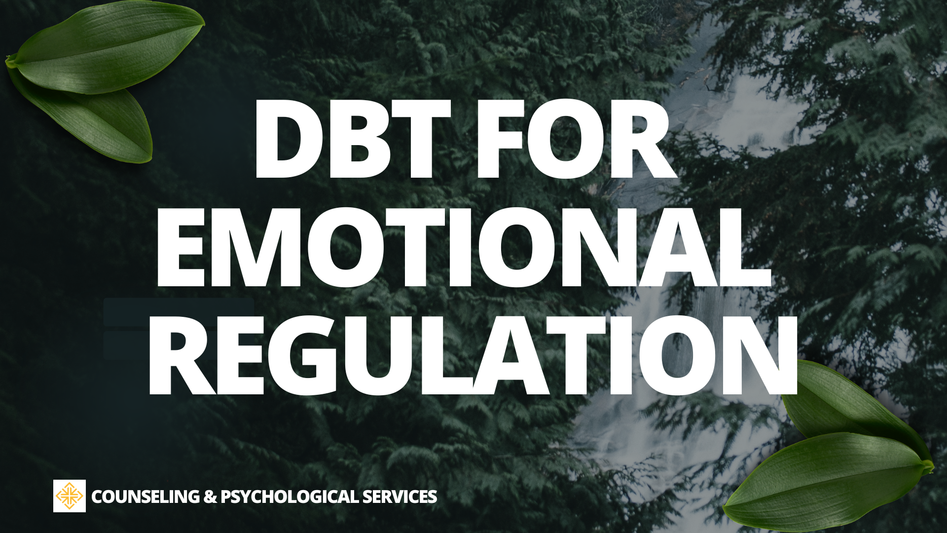 DBT for emotional regulation (Dialectical Behavioral Therapy) Group Facilitator: Dr. Yuqi Chen (she/her/她)