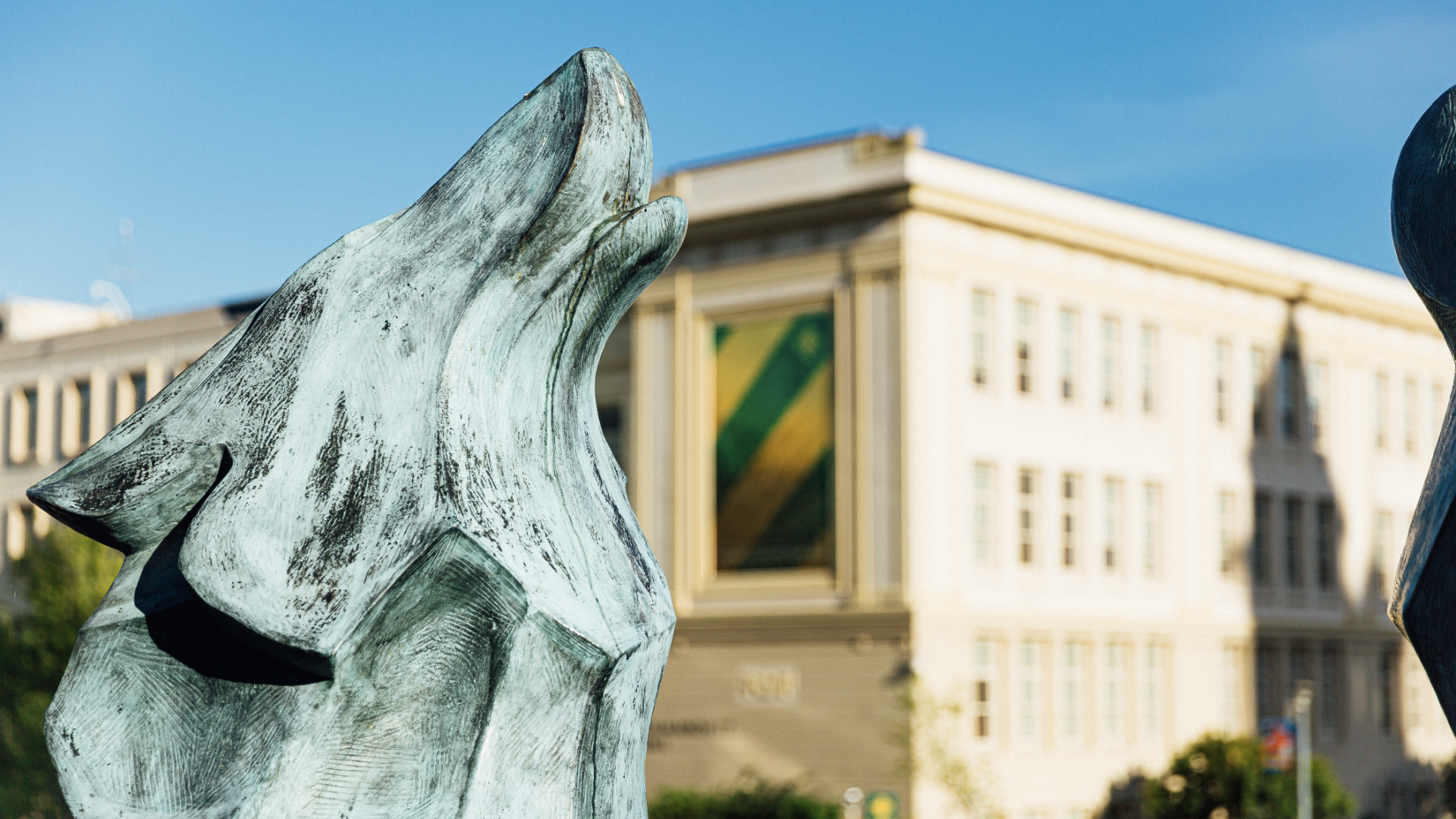 USF Campus