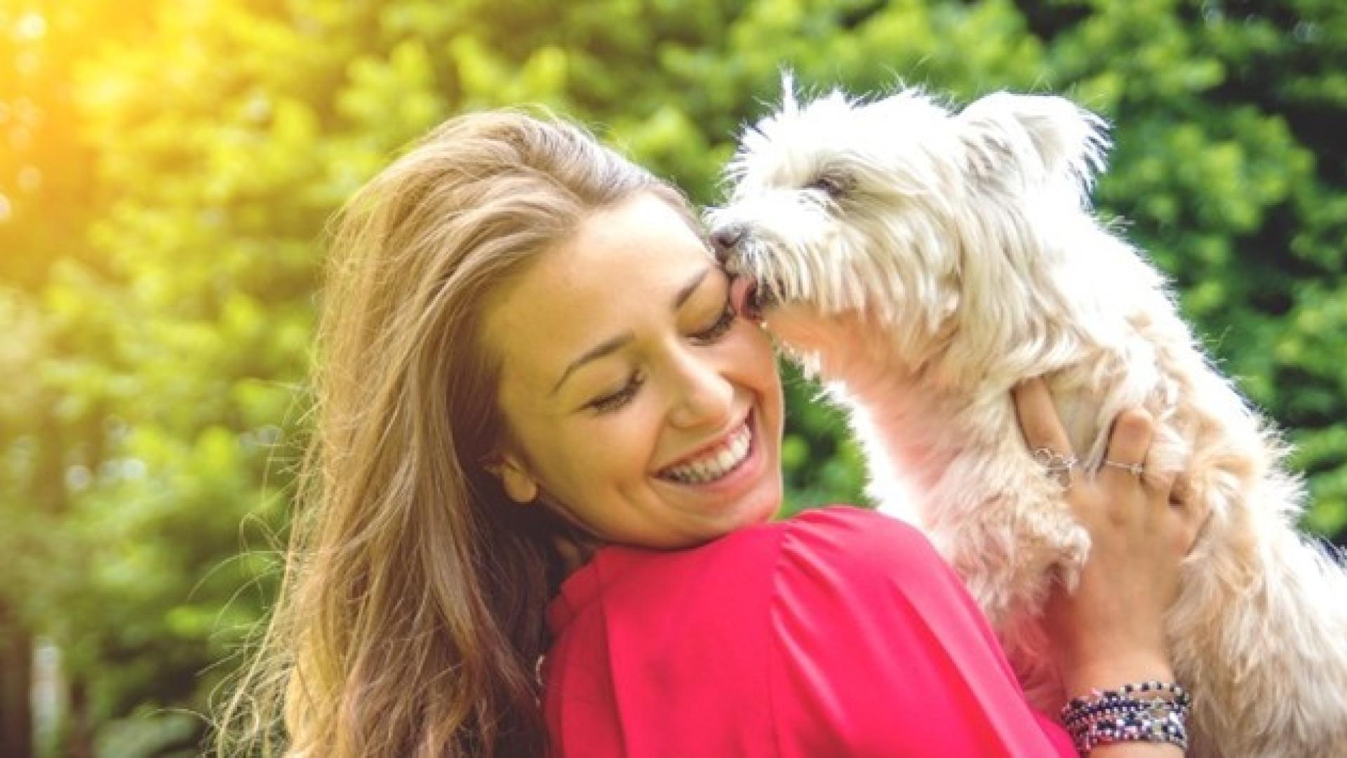 woman and animal